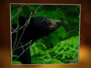 Discovering Grand Teton National Park Scenery