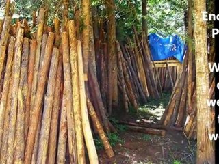 Montana Custom Log Furniture  |  What Makes Us so Special?