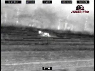 Thermal Hog Hunting -1 www.avyaban.com - ergo