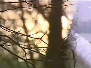 Mara Kayser - Wenn der Himmel sich teilt