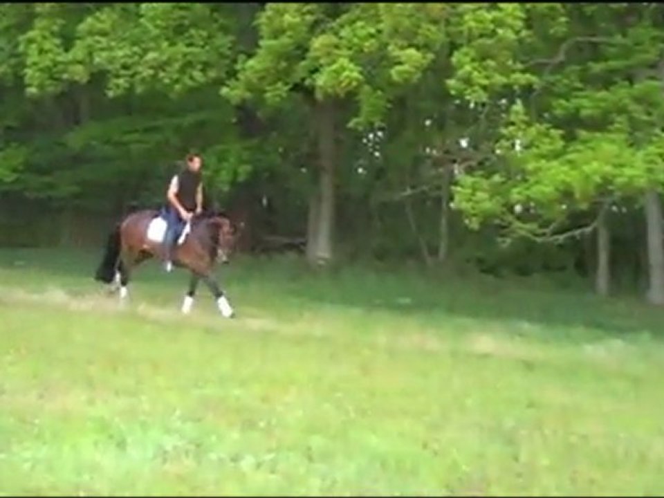 Kentucky_Lemaire_avril2011