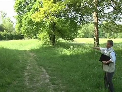 Aux arbres citoyens! (Pont-Sainte-Marie)