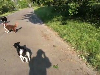 Ou comment se sécher après la baignade