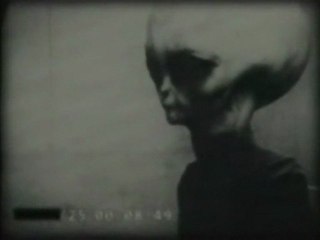 Alieno grigio di Zeta Reticuli (ζ Ret / ζ Reticuli)