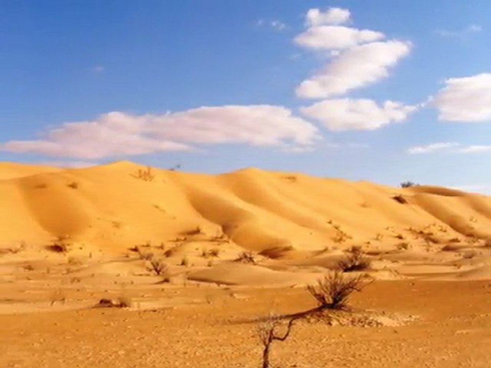 raid quad tunisie Fev 11