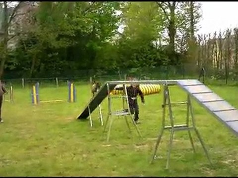 club canin agility éducation cours du mercredi