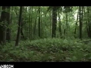 Drops (Fairy Stories) by Alex Uvarov