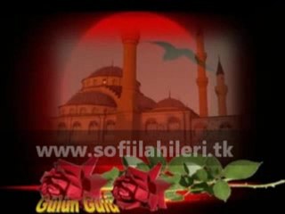menzil gülü
