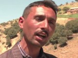 Los bosques de cedros de Marruecos en peligro por talas ilegales