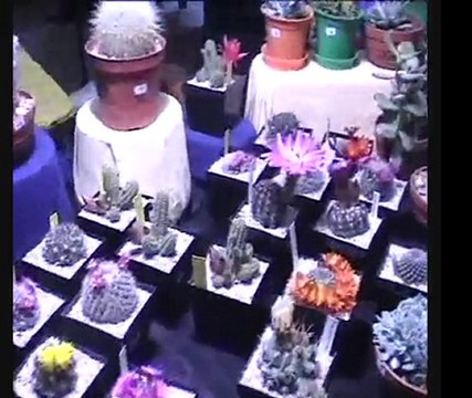 Portes ouvertes Epine de France 2011