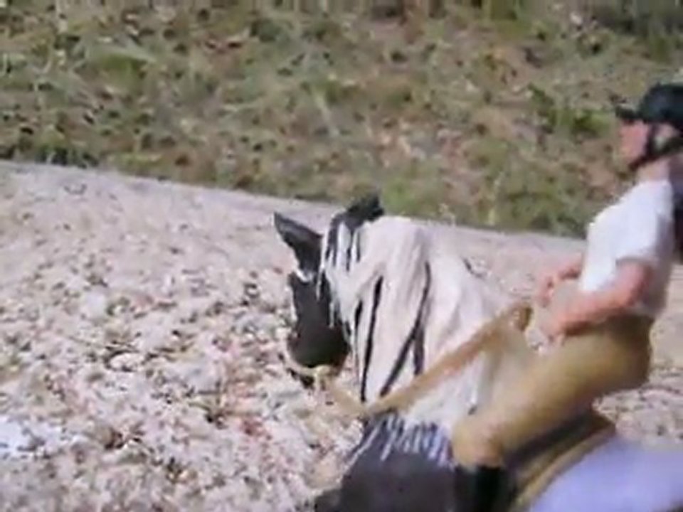 Mél qui tombe