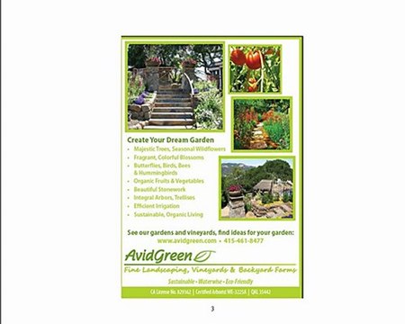 Fine Landscaping Vineyards Backyard Farms Marin County