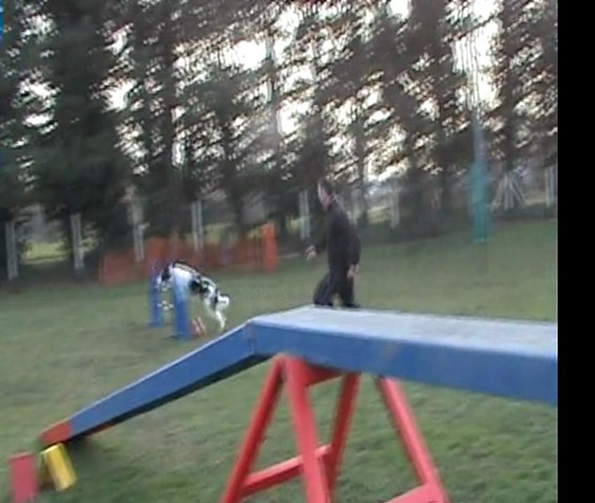 agility et plage
