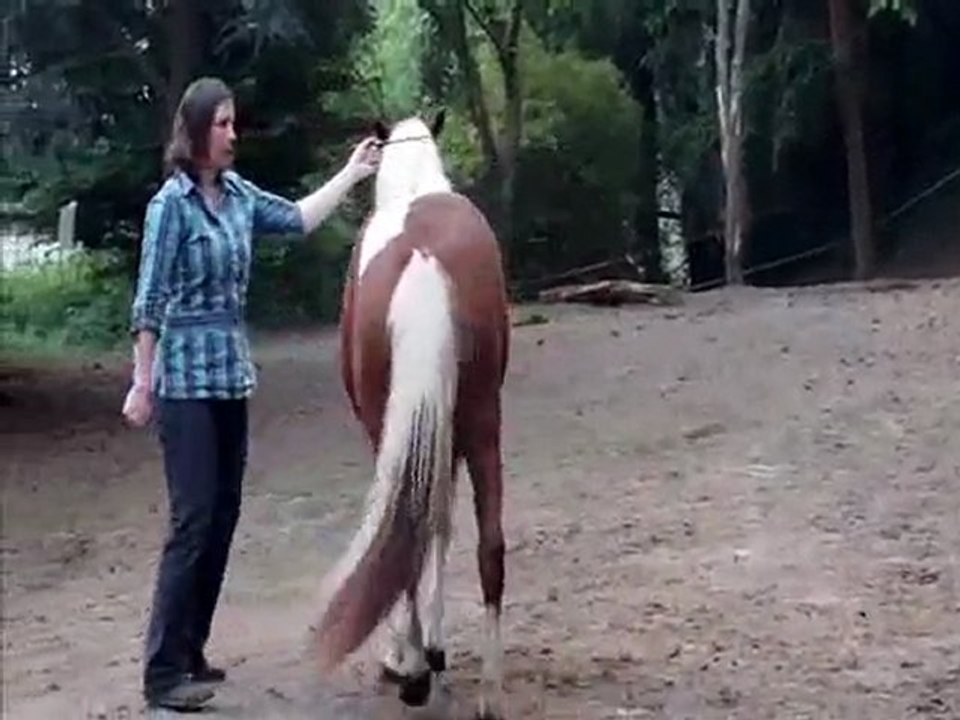 Reve - Bouger les hanches par aspiration