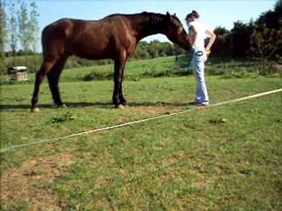 Timamour : jambette reculé reverence