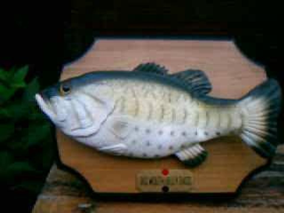 voici billy le big mouth bass ^^