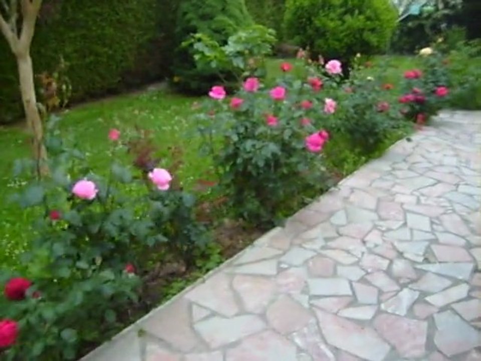 portail electrique terminé !