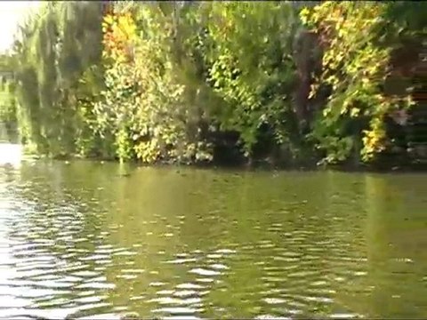 Park Alexandru Ioan Cuza - Octombrie 2010 cd2