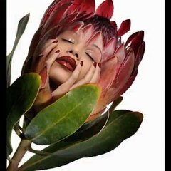 τελικα δεν αξιζεις τιποτα .Νατασσα Θεοδωριδου