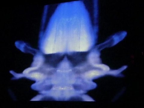 AGRUPACIÓN SEÑOR SERRANO / Katastrophe 3 Hybrides#3 Montpellier 2011