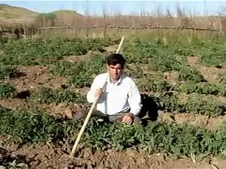 SAMET İPEK  @  MEHMET ALİ ARSLAN Videos