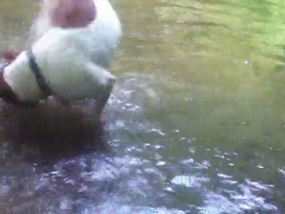 shenkin and alfred evening relax  at bois de boulogne