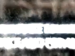 reputation management tool