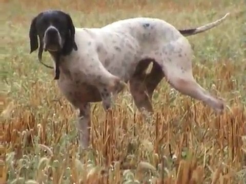 Patrone Fermalar avyaban.com - ergo