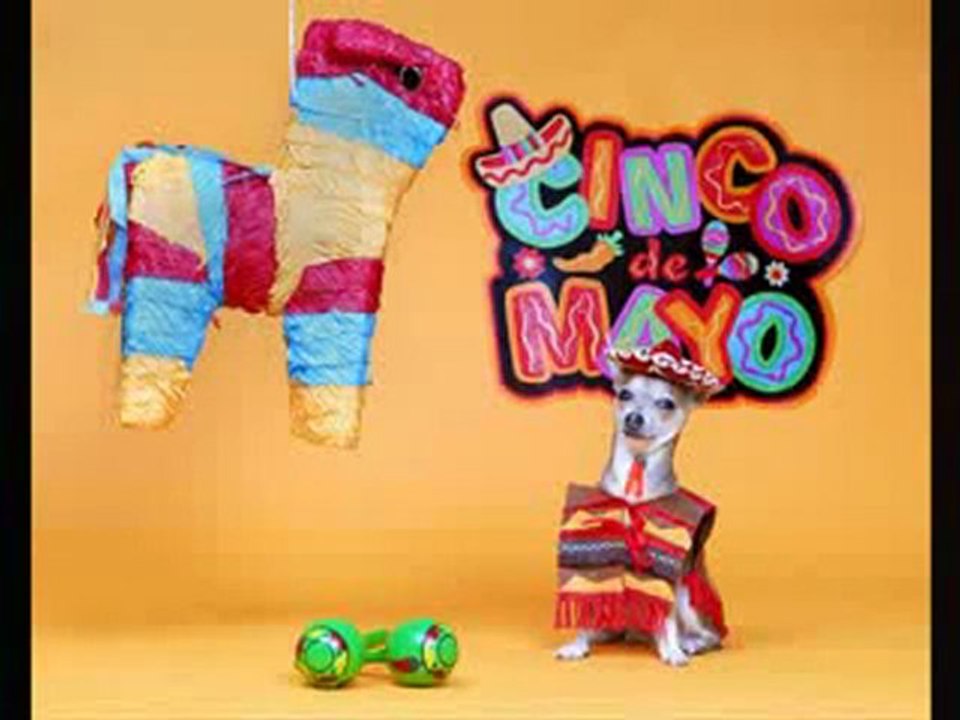 Cinco De Mayo