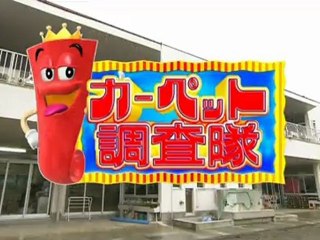 カーペット調査隊１