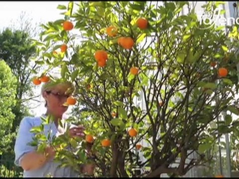 Jiweb n°7 Mairie de Talence