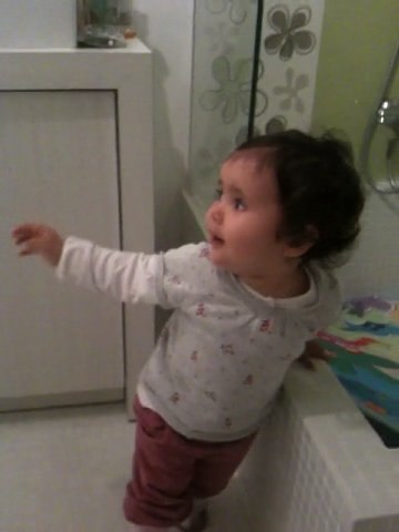 Plescacica 2