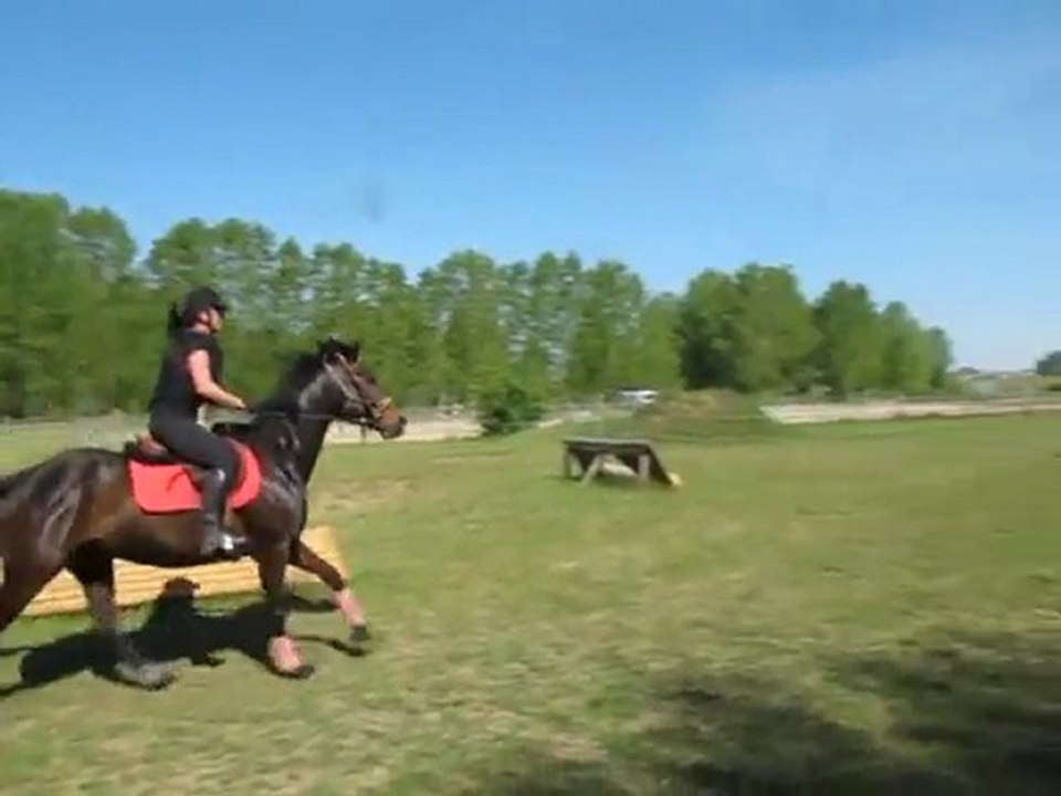 Quatuor découverte du fixe