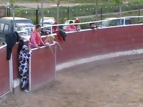 Despedidas de soltero en Logroño. Capeas.