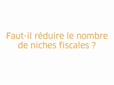 Arthuis - Rebsamen : réduire les niches fiscales ?