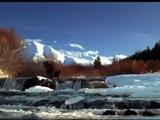 Jeroen Mol - Telenet Grizzly