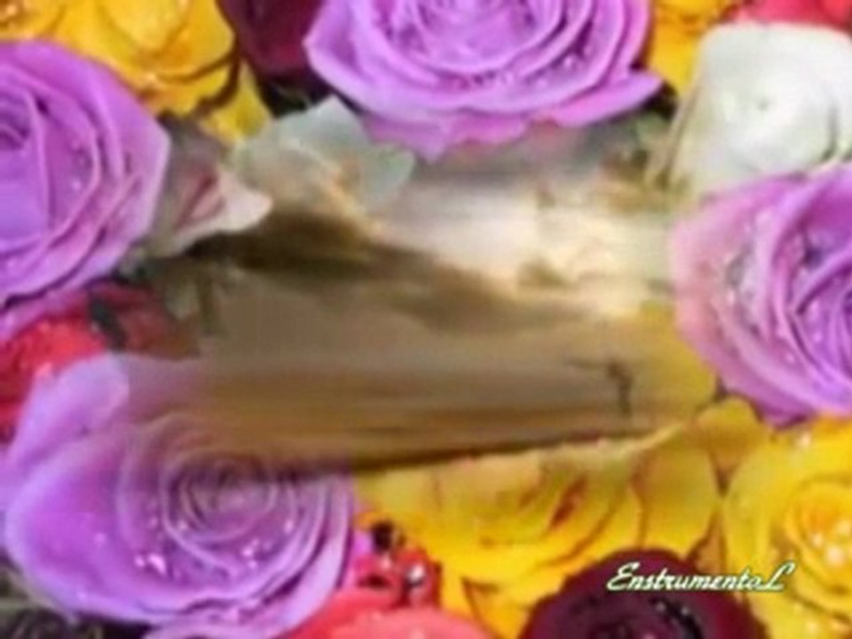 A Rose For You