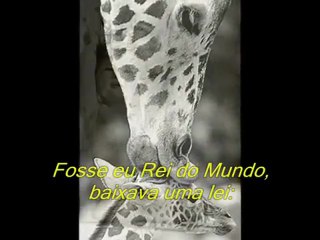 "Para Sempre" ( pela voz do próprio poeta Drummond de Andrade)