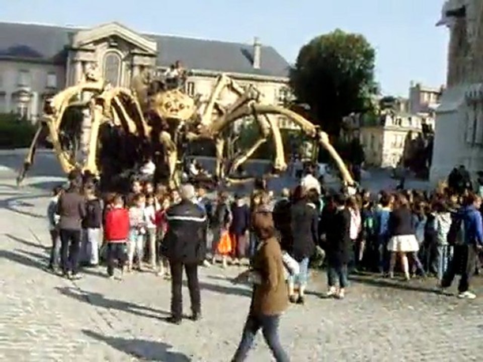 spider VS children's