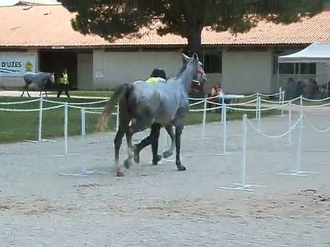 romain laporte uzes 2011