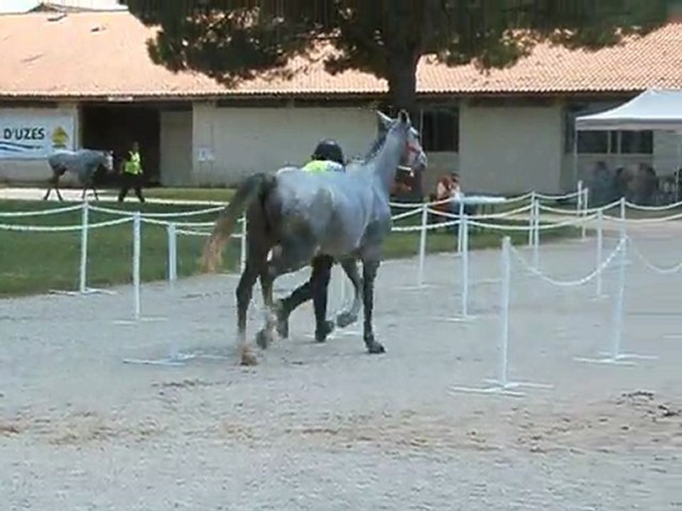 romain laporte uzes 2011