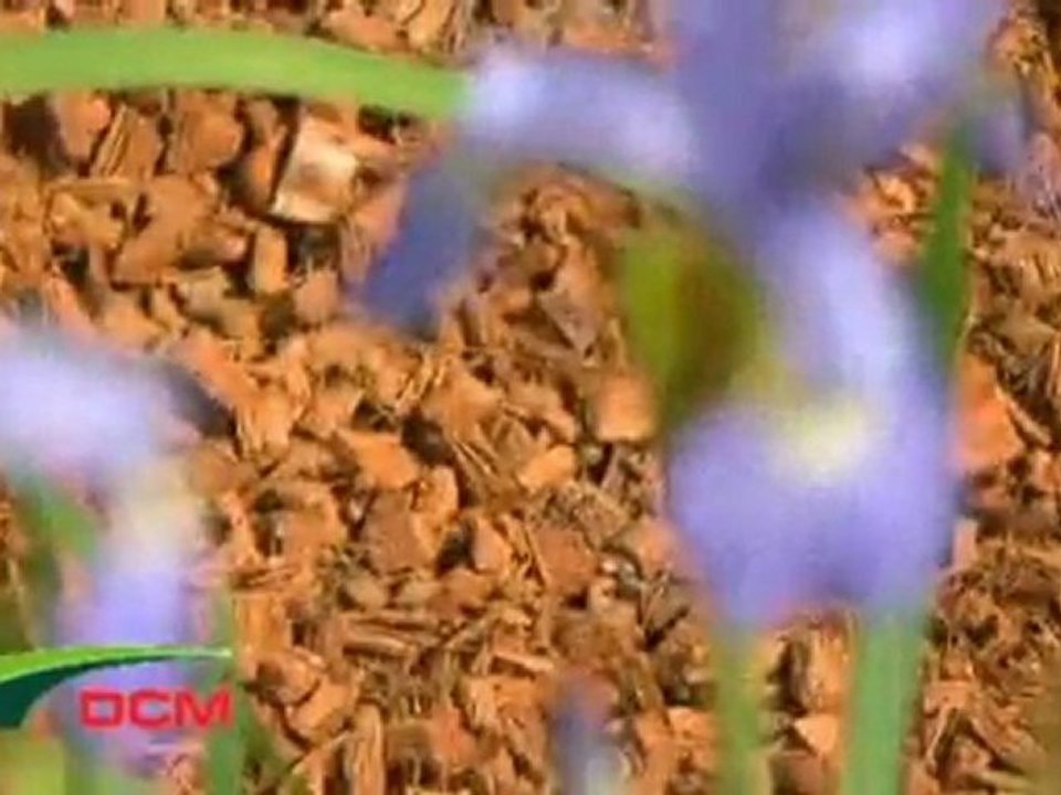 weZooz.be - De Ceuster Meststoffen: bodembedekker, duurzaam en decoratief