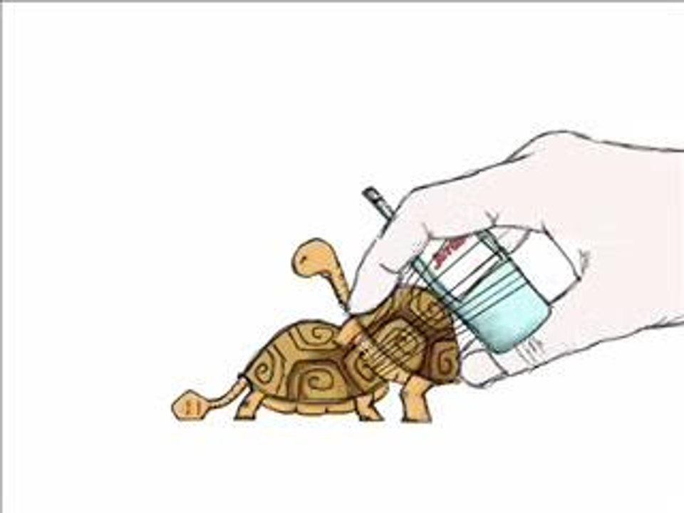 Turtle