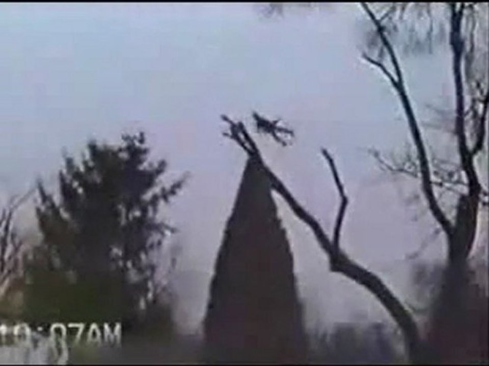 0294 - Régis coupe un arbre