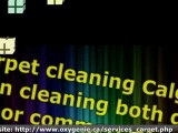 Calgary Carpet Business :: Steam Carpet Cleaning
