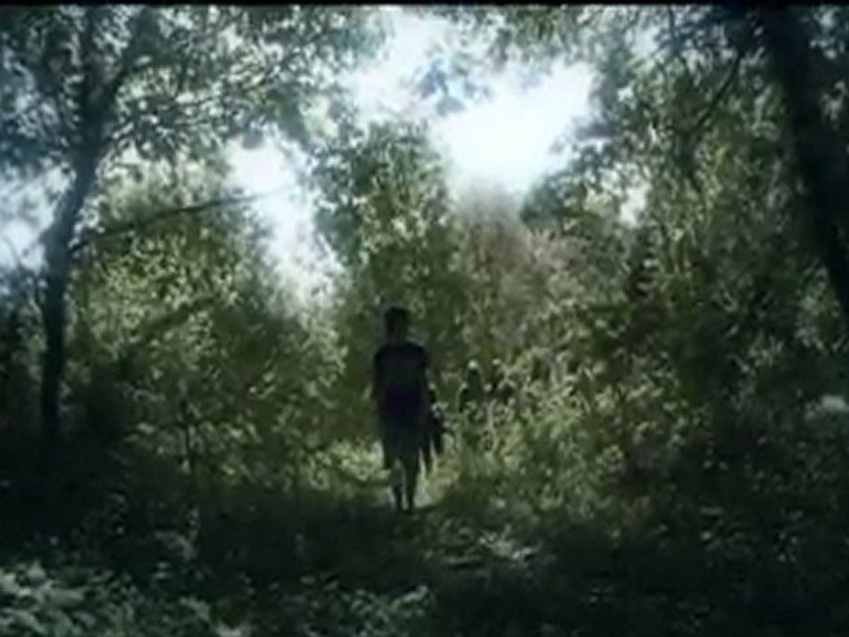 Cache-cache dans les bois