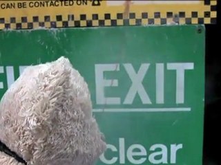 Misery Bear Goes to Work