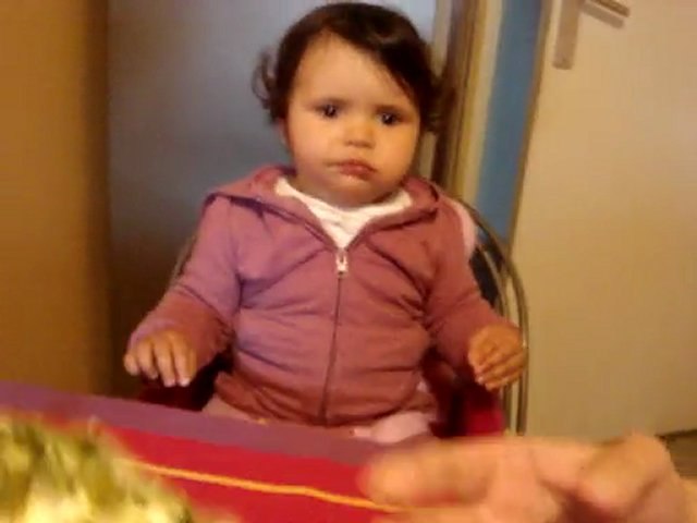 Prva pita