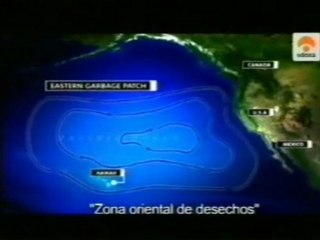 El mar: Sopa de plasticos (Disruptores endocrinos)