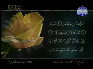 تلاوة مباركة لسورة نوح بصوت الشيخ محمد البراك